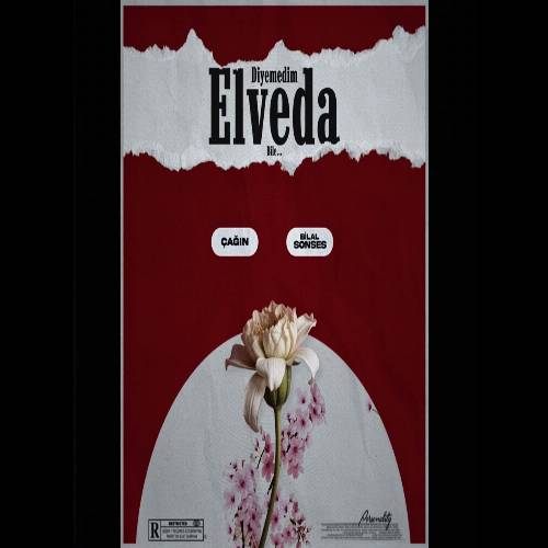 دانلود آهنگ بیلال سونسس - دیمدیم الوداع بیله Bilal Sonses – Diyemedim Elveda